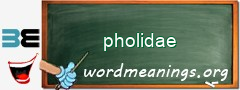 WordMeaning blackboard for pholidae